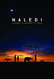 Watch Full Movie :Naledi: A Baby Elephants Tale (2016)