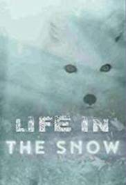 Watch Full Movie :Life in the Snow (2016)
