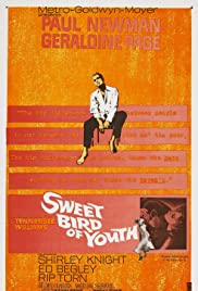 Watch Full Movie :Sweet Bird of Youth (1962)