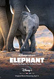 Watch Full Movie :Elephant (2020)
