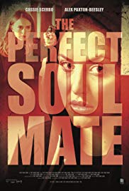 Watch Full Movie :The Perfect Soulmate (2017)
