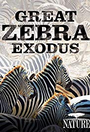 Watch Full Movie :Great Zebra Exodus (2013)