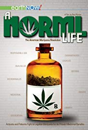 Watch Full Movie :A Norml Life (2011)