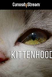 Watch Full Movie :Kittenhood (2015)