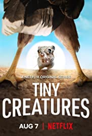 Watch Full Movie :Tiny Creatures (2020 )
