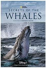 Watch Full Movie :Secrets of the Whales (2021)