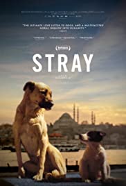 Watch Full Movie :Stray (2020)