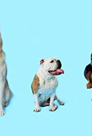Watch Full Movie :How Dogs Got Their Shapes (2016)