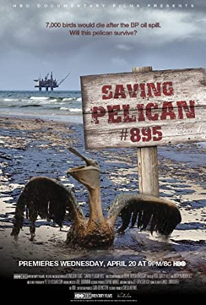 Watch Full Movie :Saving Pelican 895 (2011)