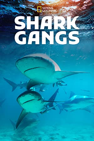 Watch Full Movie :Shark Gangs (2021)