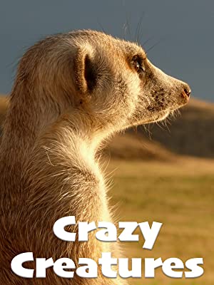 Watch Full Movie :Crazy Creatures (2018)