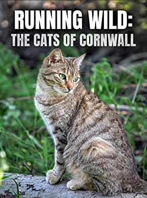 Watch Full Movie :Running Wild The Cats of Cornwall (2020)