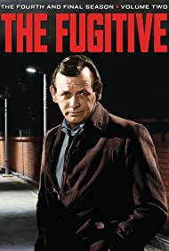 Watch Full Movie :The Fugitive (1963 1967)