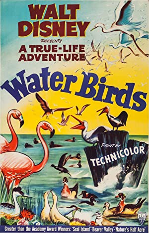 Watch Full Movie :Water Birds (1952)