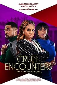 Watch Full Movie :Cruel Encounters (2023)