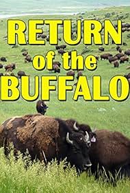 Watch Full Movie :The Return of the Buffalo Restoring the Great American Prairie (2008)