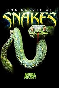 Watch Full Movie :Beauty of Snakes (2003)