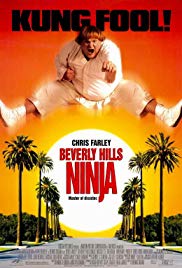 Watch Full Movie :Beverly Hills Ninja (1997)
