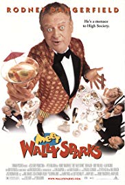 Watch Full Movie :Meet Wally Sparks (1997)