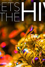 Watch Full Movie :Secrets of the Hive (2015)