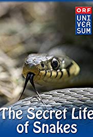 Watch Full Movie :The Secret Life of Snakes (2016)