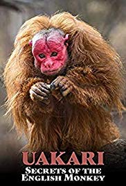 Watch Full Movie :Uakari: Secrets of the English Monkey (2009)