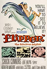 Watch Full Movie :Flipper (1963)
