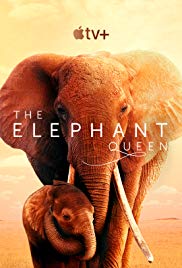Watch Full Movie :The Elephant Queen (2019)