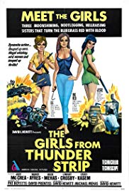 Watch Full Movie :The Girls from Thunder Strip (1970)