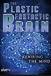 Watch Full Movie :The Plastic Fantastic Brain (2009)