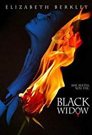 Watch Full Movie :Black Widow (2008)