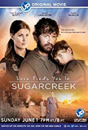 Watch Full Movie :Love Finds You in Sugarcreek (2014)