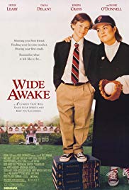 Watch Full Movie :Wide Awake (1998)