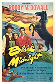 Watch Full Movie :Black Midnight (1949)