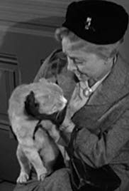 Watch Full Movie :Miss Paisleys Cat (1957)