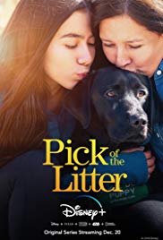 Watch Full Movie :Pick of the Litter (2018)