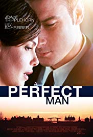 Watch Full Movie :A Perfect Man (2013)