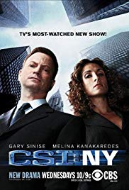 Watch Full Movie :CSI: NY (20042013)