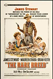 Watch Full Movie :The Rare Breed (1966)