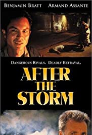 Watch Full Movie :After the Storm (2001)