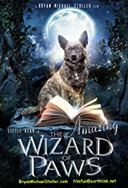 Watch Full Movie :The Amazing Wizard of Paws (2015)