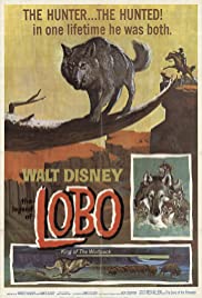 Watch Full Movie :The Legend of Lobo (1962)