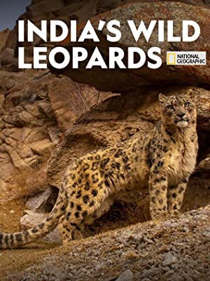 Watch Full Movie :Indias Wild Leopards (2020)