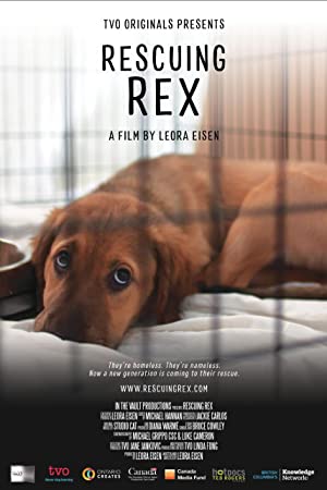 Watch Full Movie :Rescuing Rex (2020)