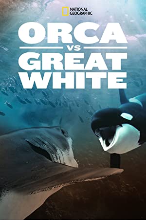 Watch Full Movie :Orca vs. Great White (2021)