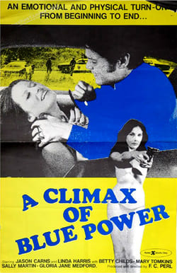 Watch Full Movie :A Climax of Blue Power (1974)