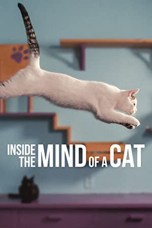 Watch Full Movie :Inside the Mind of a Cat (2022)