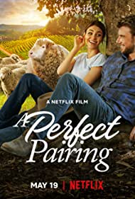 Watch Full Movie :A Perfect Pairing (2022)