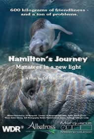 Watch Full Movie :Hamiltons Journey Manatees in a New Light (2014)