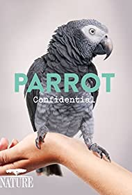 Watch Full Movie :Parrot Confidential (2013)